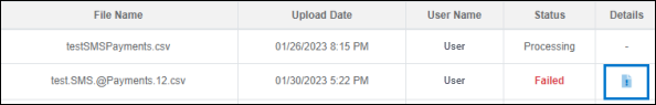 The table that lists uploaded files and file details in the File Upload History screen. A box surrounds the document icon in the Details column.
