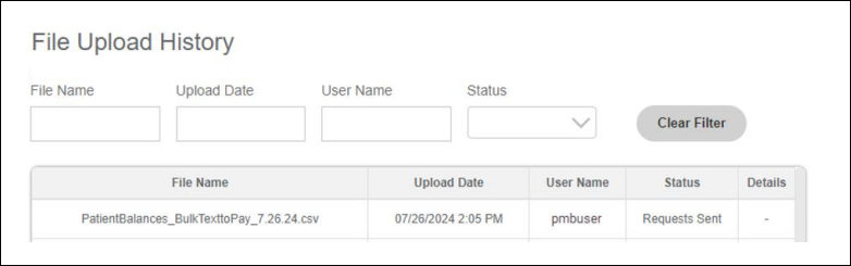 The File Upload History screen. It lists files in a table and includes the File Name, Upload Date, User Name, Status, and Details. A filter option is also available.