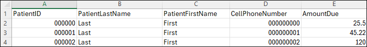 An example excel file that shows three sample entries for Columns A, B, C, D, and E.
