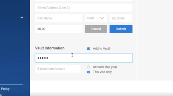 The Vault Information section of the Payments screen of Bridge Payments. The checkbox for ”Add to vault" is selected, and ”This visit only" is selected. The Vault ID field has an entry.
